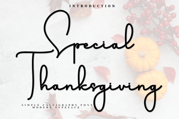 Special Thanksgiving: A Font for Meaningful Design
